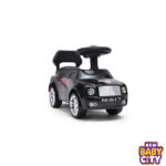 Benny-Ride-Model-No-617.3